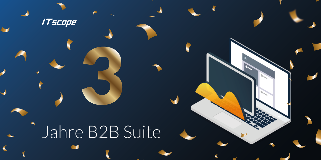 Rückblick auf zwei Jahre mit der B2B Suite: Herausforderungen, Erfolge und ein Blick in die Zukunft